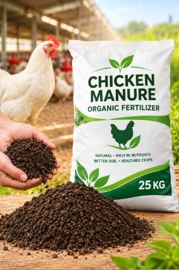 Composted chicken manure organic fertilizer